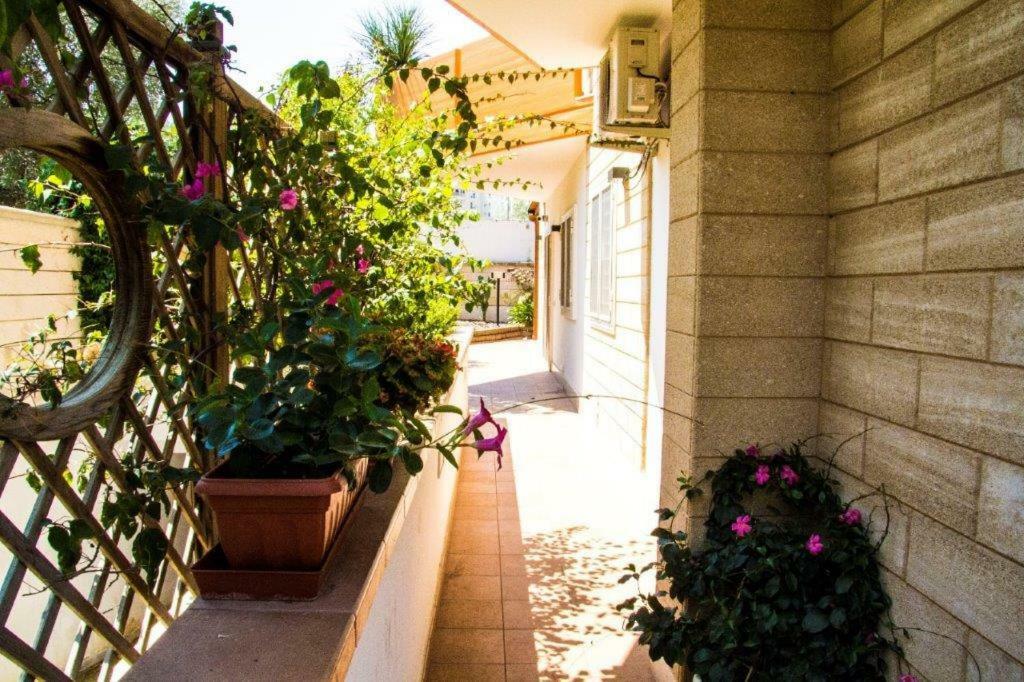 Little House Apartment Modugno Ngoại thất bức ảnh